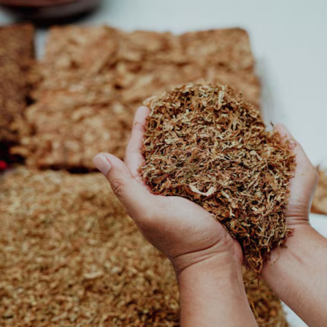 Coir For Sustainable Agriculture